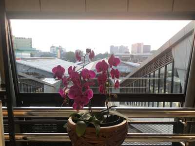 How far away is home?